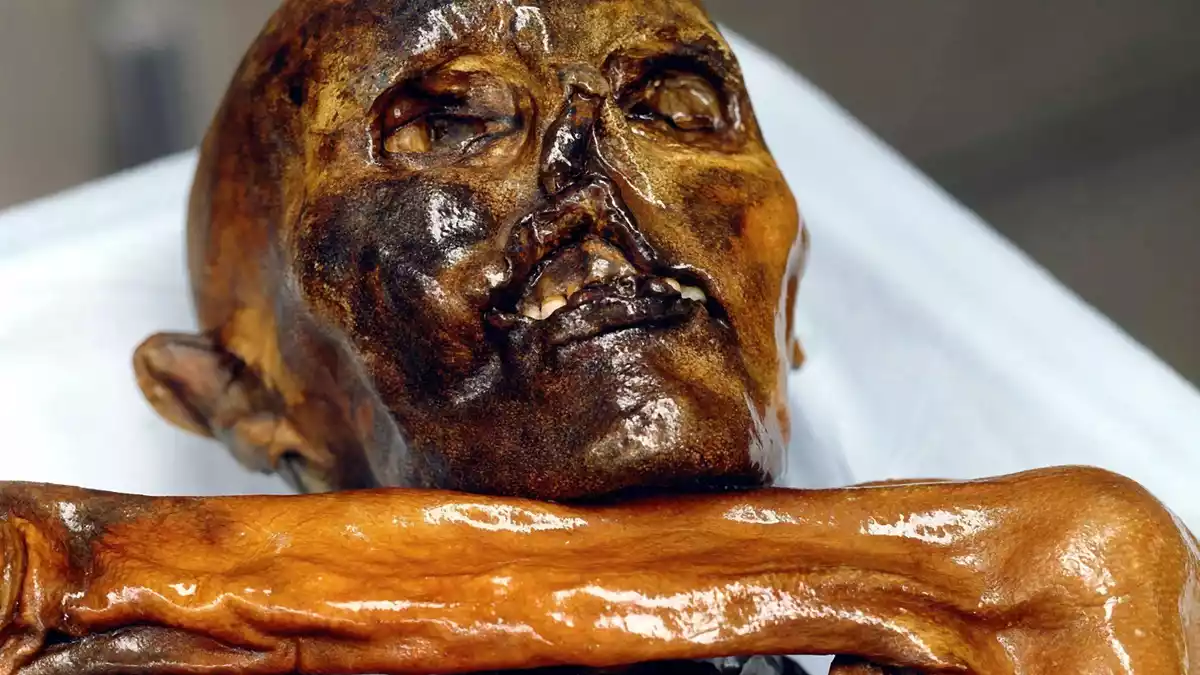 Ötzi ist aus Sicht der Wissenschaft ein faszinierendes   - Bild: picture alliance / dpa