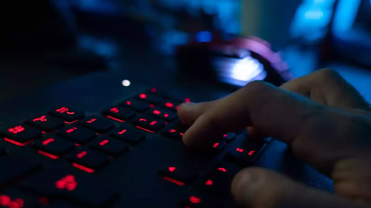Arbeitssuchende IT-Fachkräfte werden Ziel von staatlich orchestrierten Cyberangriffen aus Nordkorea. (Symbolbild)  - Bild: Nicolas Armer/dpa
