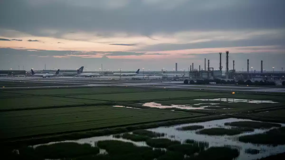 Frankfurt bestätigt dritten Malaria-Todesfall nahe dem Flughafen