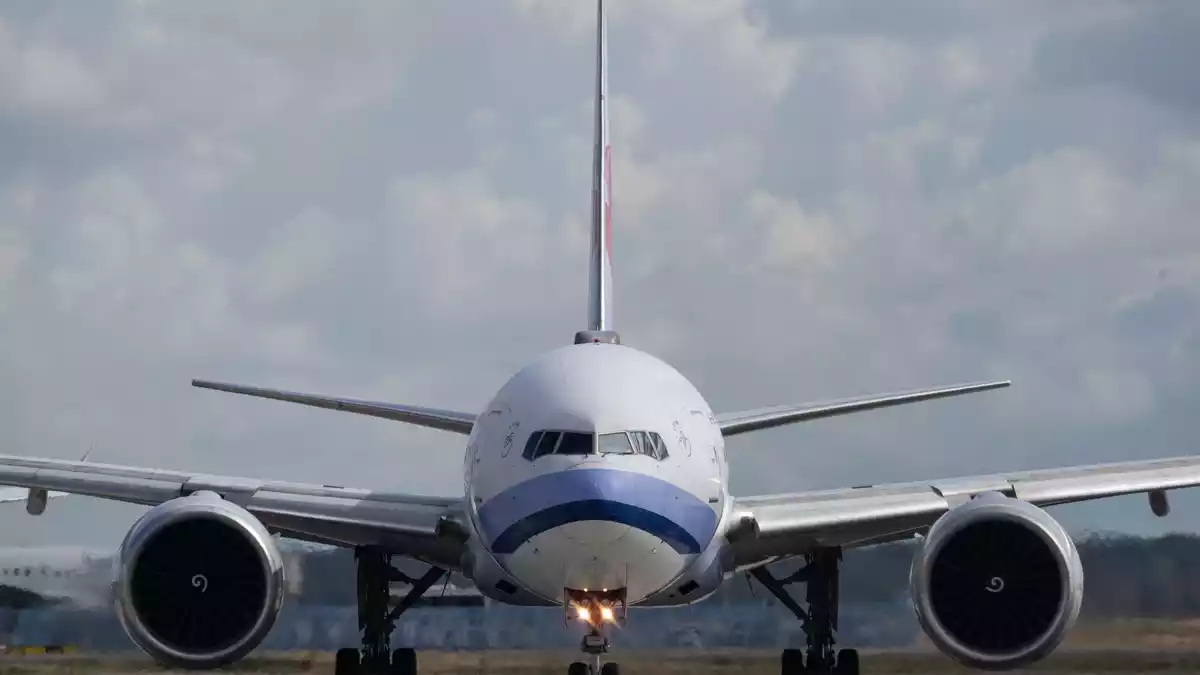 Mit einem Flugzeug soll die Überträger-Mücke nach Frankfurt gelangt sein. - Bild: Boris Roessler/dpa