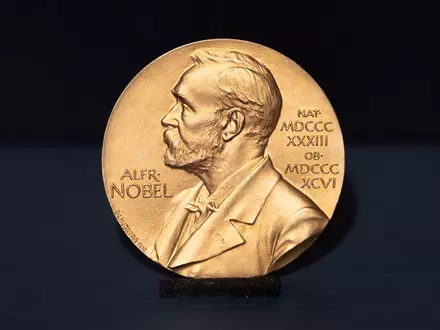 Wer den begehrten Nobelpreis bekommt, erhält auch eine Medaille - und in diesem Jahr 12 Millionen schwedische Kronen (rund 1 Million Euro). (Symbolbild) - Foto: Daniel Reinhardt/dpa