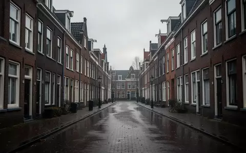 Eine leere, ruhige Wohnstraße in einer niederländischen Stadt mit Backsteinhäusern bei bewölktem Wetter. - Foto: über boerse-global.de