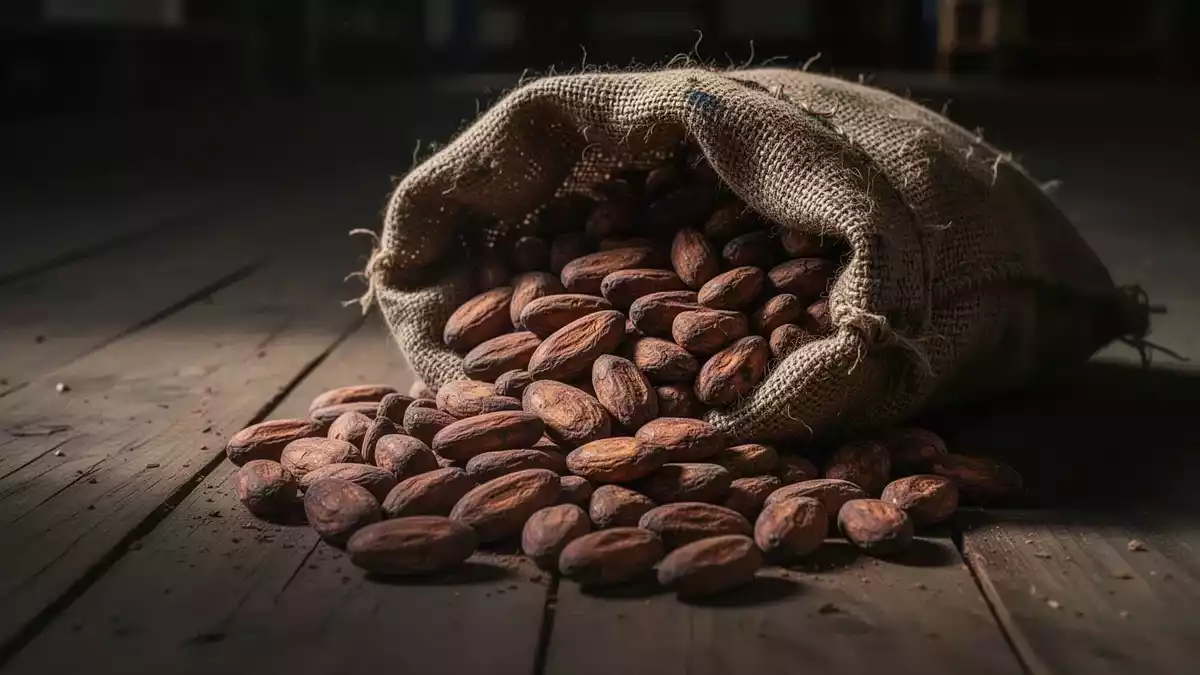 Kakao-ETC unter Druck: Lagerbestände belasten gehebeltes Produkt