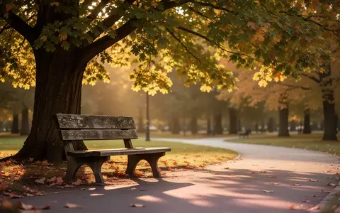 Eine leere Parkbank unter einem Baum im herbstlichen Licht, die Ruhe und Besinnlichkeit ausstrahlt. - Foto: über boerse-global.de