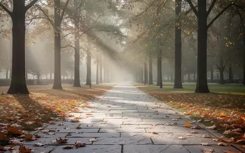 Ein ruhiger, sonnendurchfluteter Parkweg im Herbst mit herabgefallenem Laub auf dem Boden. - Foto: über boerse-global.de