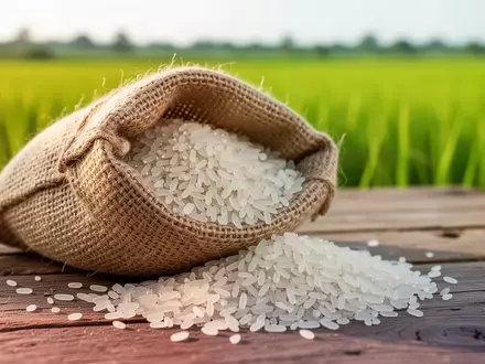 Nahaufnahme von rohen Reiskörnern in einem Jutesack auf einem Holztisch vor einem unscharfen Reisfeld. - Foto: über boerse-global.de