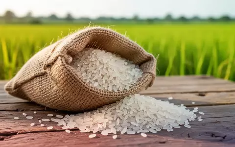 Nahaufnahme von rohen Reiskörnern in einem Jutesack auf einem Holztisch vor einem unscharfen Reisfeld. - Foto: über boerse-global.de