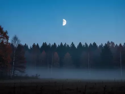 Eine neblige Herbstlandschaft in der Morgendämmerung mit einem blassen Mond am klaren Himmel. - Foto: über boerse-global.de