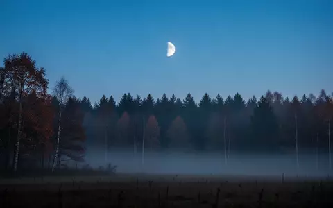 Eine neblige Herbstlandschaft in der Morgendämmerung mit einem blassen Mond am klaren Himmel. - Foto: über boerse-global.de