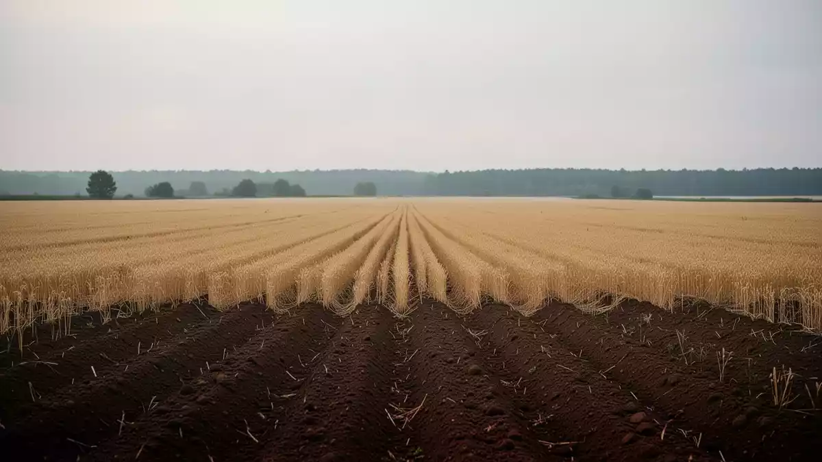 Glyphosat und Pflanzenschutz: Klage, Reformdruck und neue Verbote