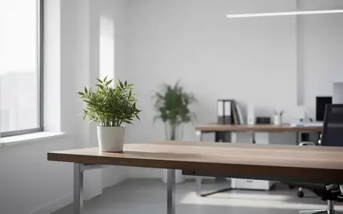 Ein minimalistisches, helles Büro mit einem schlichten Holztisch und einer Pflanze, das eine ruhige Arbeitsatmosphäre vermittelt. - Foto: über boerse-global.de