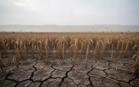 Ein ausgetrocknetes, rissiges Weizenfeld unter einem bewölkten Himmel, das die Auswirkungen der Dürre auf die Ernte verdeutlicht. - Foto: über boerse-global.de