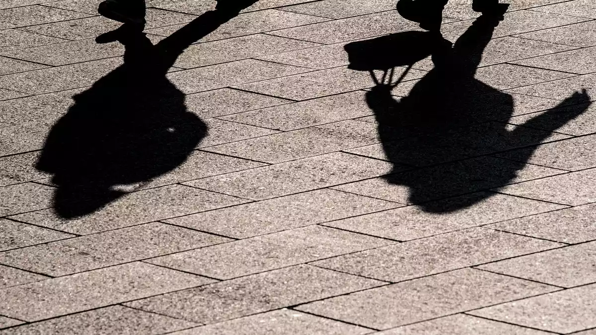 Menschen erkennen solche Formen und Umrisse besser als KI-Systeme.  - Bild: Federico Gambarini/dpa