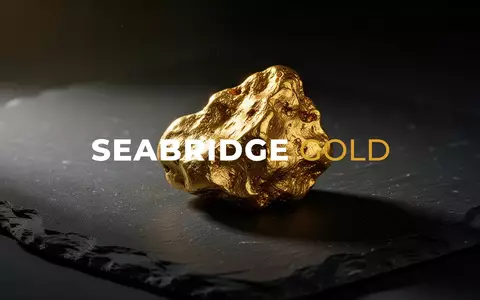 Ein roher Goldklumpen auf einem dunklen Schieferuntergrund unter dramatischem Licht. - Foto: über boerse-global.de