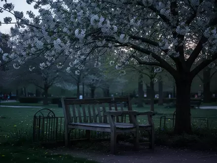 Symbolbild: Parkbank unter einem blühenden Baum - Foto: über boerse-global.de