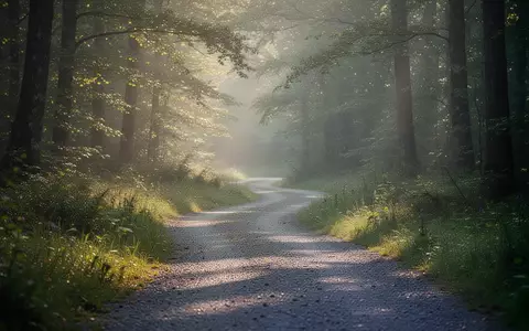 Ein von sanftem Sonnenlicht durchfluteter Waldpfad, der Ruhe und geistige Vitalität symbolisiert. - Foto: über boerse-global.de