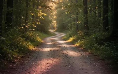Ein einsamer Waldpfad bei goldenem Licht, der sich durch die Natur schlängelt. - Foto: über boerse-global.de
