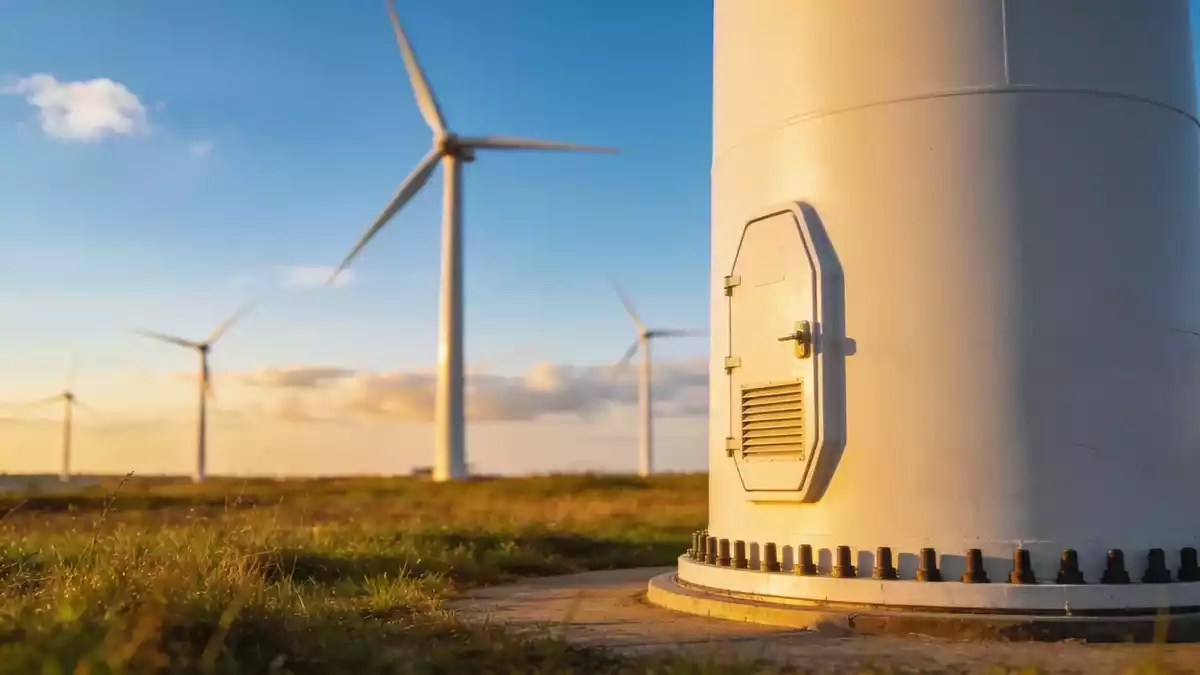 Vortex Energy plant Meadows-Übernahme zum 1. Oktober
