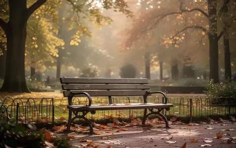 Eine leere Parkbank in einem sonnendurchfluteten, herbstlichen Garten als Symbol für Ruhe und soziale Unterstützung. - Foto: über boerse-global.de