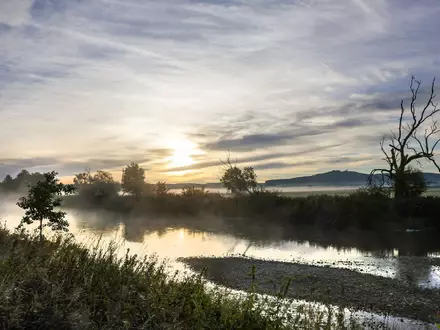 Es bleibt mild, aber in den Nächten wird Nebel zunehmend ein Thema. (Symbolbild) - Foto: Thomas Warnack/dpa