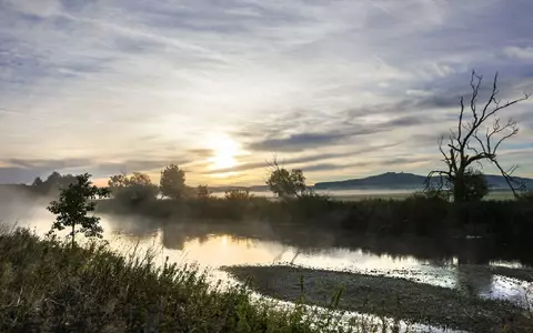 Es bleibt mild, aber in den Nächten wird Nebel zunehmend ein Thema. (Symbolbild) - Foto: Thomas Warnack/dpa