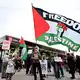 Vor dem Stadion, in dem das Konzert stattfand, hatten sich propalästinensische Demonstranten versammelt.  - Bild: Allie Ippolito/AP/dpa