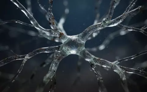 Abstrakte Darstellung neuronaler Verbindungen in einem dunklen, stimmungsvollen Umfeld. - Foto: über boerse-global.de