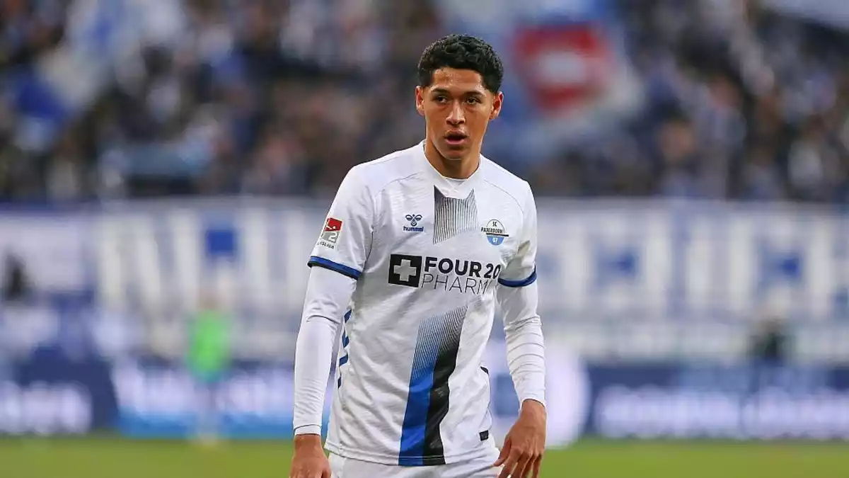 1. Bundesliga: Paderborn gewinnt gegen Hoffenheim