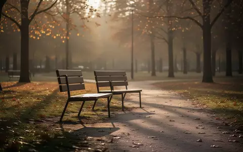 Eine einsame Parkbank in einer herbstlichen Landschaft bei Sonnenuntergang. - Foto: über boerse-global.de