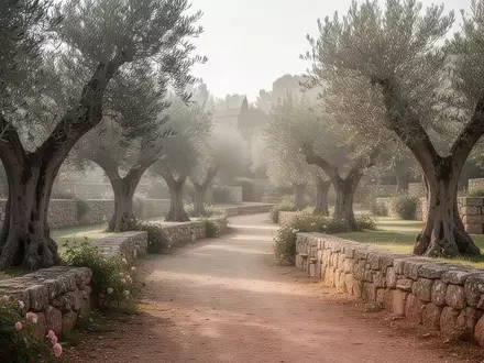 Ein ruhiger, sonnendurchfluteter Gartenweg in einer mediterranen Parkanlage mit Olivenbäumen. - Foto: über boerse-global.de