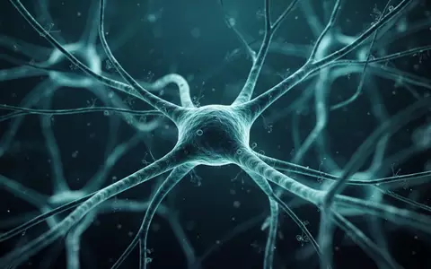 Mikroskopische Aufnahme eines neuronalen Netzwerks zur Darstellung neurologischer Entzündungsprozesse. - Foto: über boerse-global.de