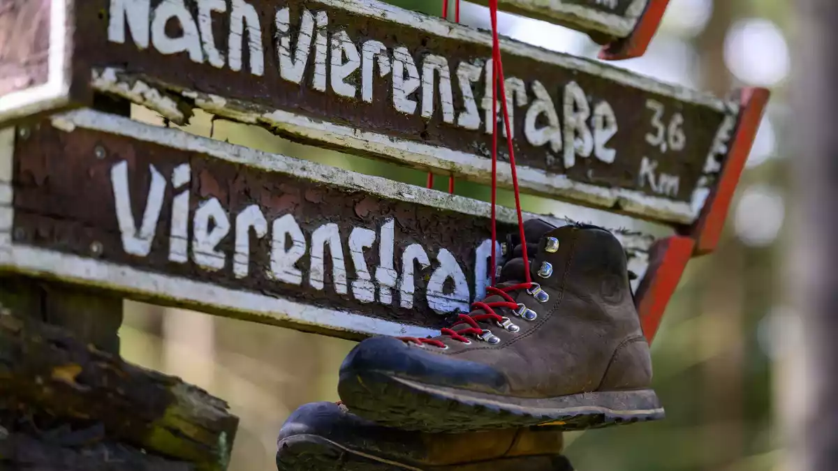 Das Image des Wanderns hat sich einer Studie zufolge seit den 1990er Jahren «von einer eher betulichen zu einer Lifestyle-orientierten Freizeitaktivität» gewandelt.  - Bild: Hendrik Schmidt/dpa