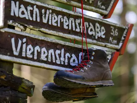 Das Image des Wanderns hat sich einer Studie zufolge seit den 1990er Jahren «von einer eher betulichen zu einer Lifestyle-orientierten Freizeitaktivität» gewandelt.  - Foto: Hendrik Schmidt/dpa