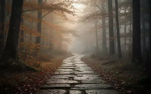 Ein einsamer, von Nebel umgebener Waldweg in der Morgendämmerung, der einen ruhigen und nachdenklichen Pfad symbolisiert. - Foto: über boerse-global.de