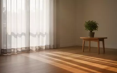 Ein minimalistischer, sonnendurchfluteter Raum mit sanftem Licht und einer einzelnen Pflanze, der Ruhe und Gelassenheit ausstrahlt. - Foto: über boerse-global.de