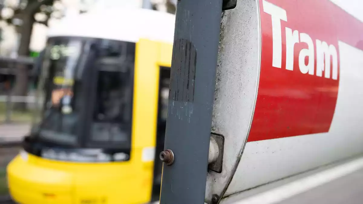 Busse, Bahnen und Straßenbahnen befördern Millionen Fahrgäste. (Symbolbild) - Bild: Sebastian Gollnow/dpa