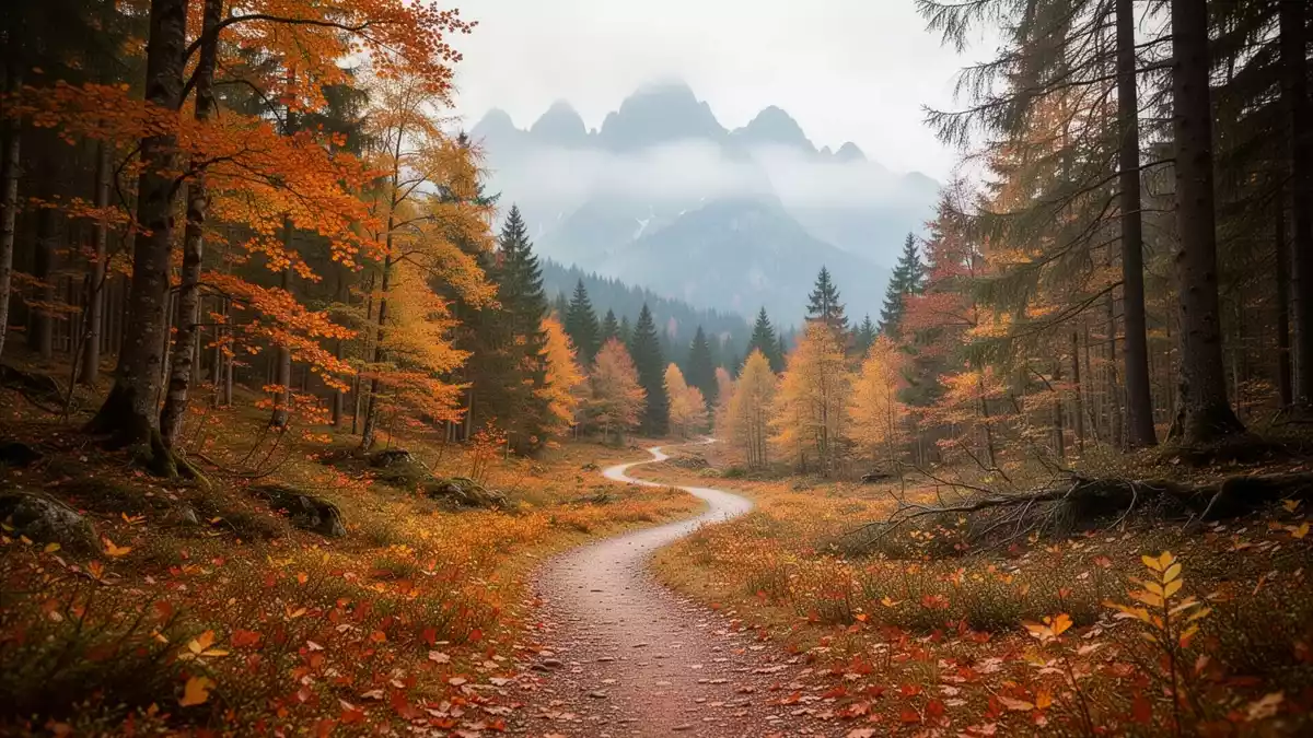 Rheinland-Pfalz: Neue Wanderwege und Touren für den Herbst