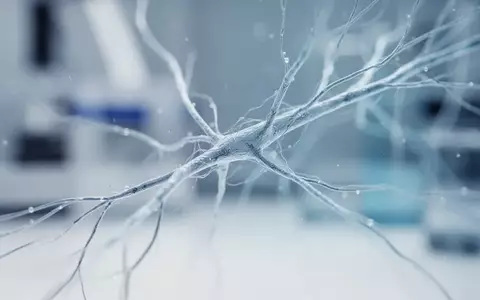 Nahaufnahme von Nervenfasern unter einem Mikroskop in einer wissenschaftlichen Laborumgebung. - Foto: über boerse-global.de