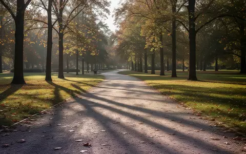 Ein sonniger, leerer Kiesweg in einem ruhigen Park mit langen Schatten bei Herbstwetter. - Foto: über boerse-global.de