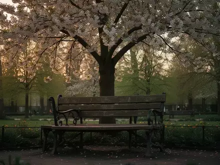 Symbolbild: Parkbank unter einem blühenden Baum - Foto: über boerse-global.de