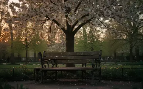 Symbolbild: Parkbank unter einem blühenden Baum - Foto: über boerse-global.de