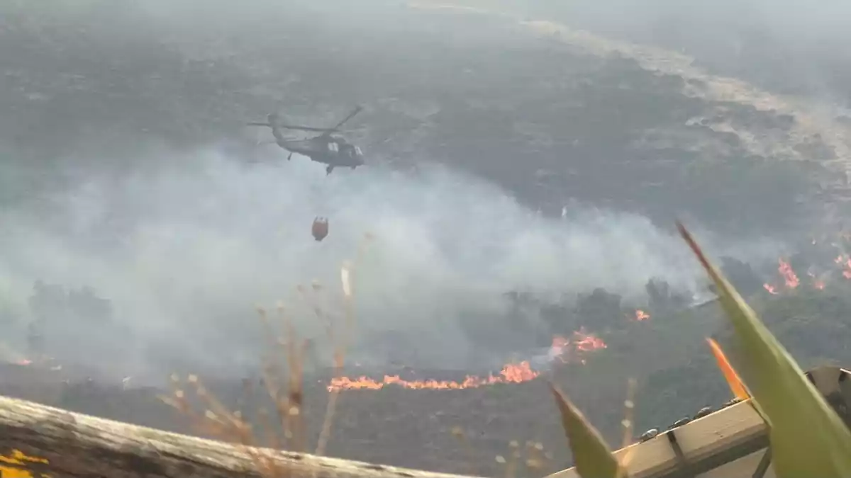 Hunderte Einsatzkräfte sind an der Bekämpfung der Flammen beteiligt. - Bild: colprensa / Akt. Bifu/Colprensa/dpa