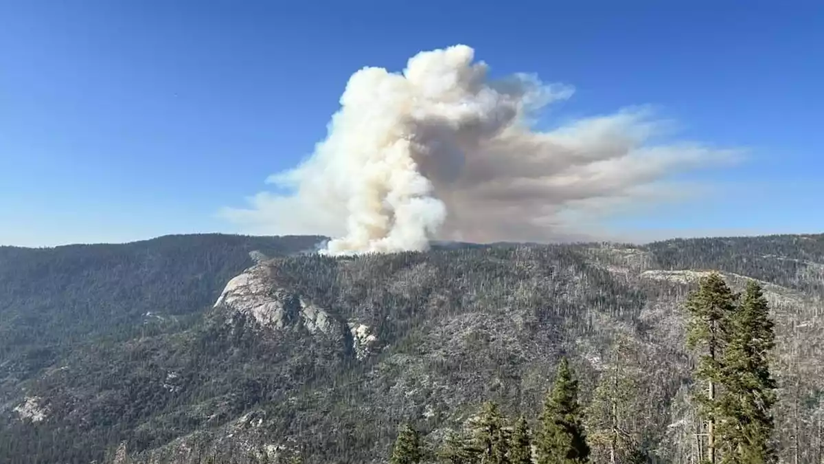 Beim Absturz des Löschhubschraubers kamen beide Insassen ums Leben. - Bild: Uncredited/National Parks Service/AP/dpa