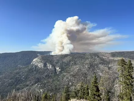 Beim Absturz des Löschhubschraubers kamen beide Insassen ums Leben. - Foto: Uncredited/National Parks Service/AP/dpa