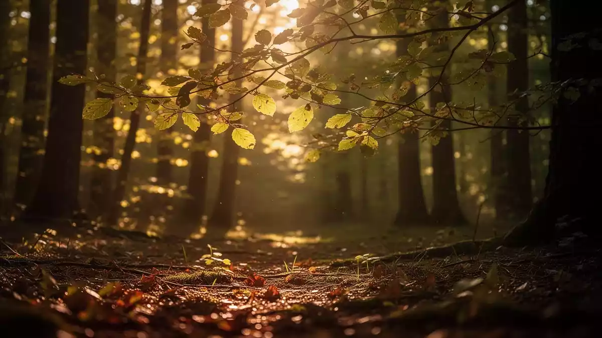 Vitamin D2 oder D3: Studien zeigen klare Wirkungsunterschiede