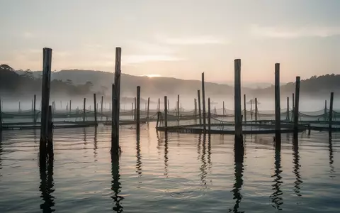 Ruhige Aquakultur-Anlage in einer Küstenbucht bei Sonnenaufgang mit Holzpfählen im Wasser. - Foto: über boerse-global.de
