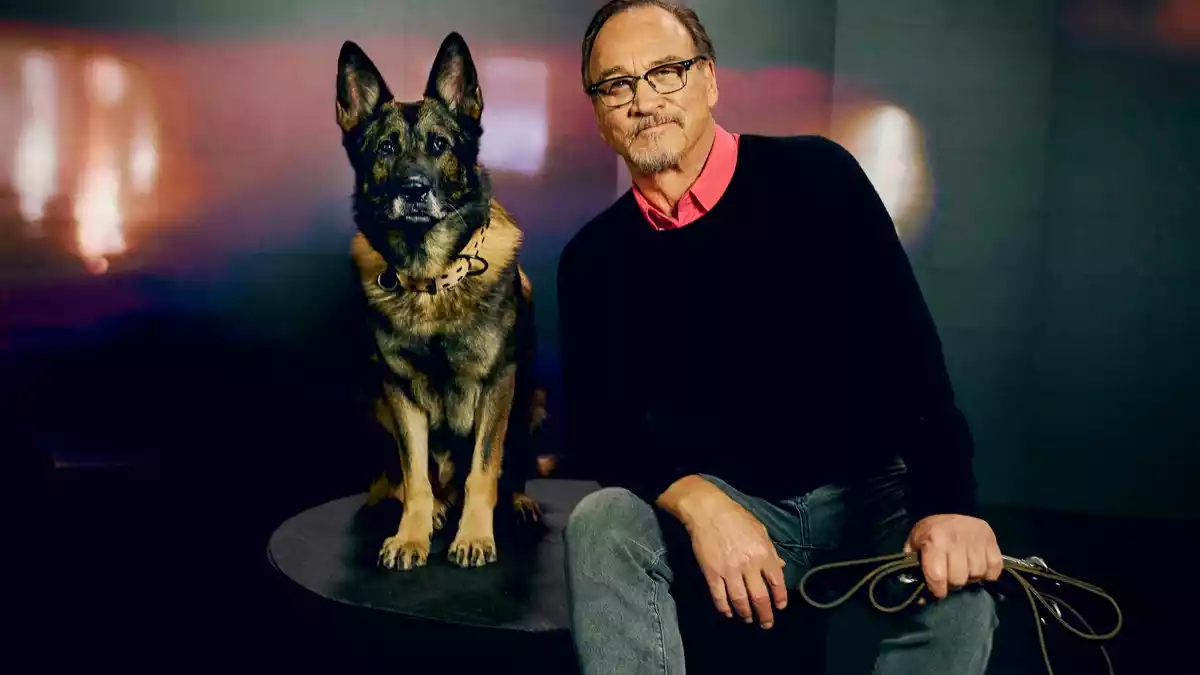 Jim Belushi und die Helden auf vier Pfoten: In neuer Doku-Reihe auf Crime + Investigation zeigt der Hollywood-Star Polizeihunde im Einsatz - Bild: presseportal.de