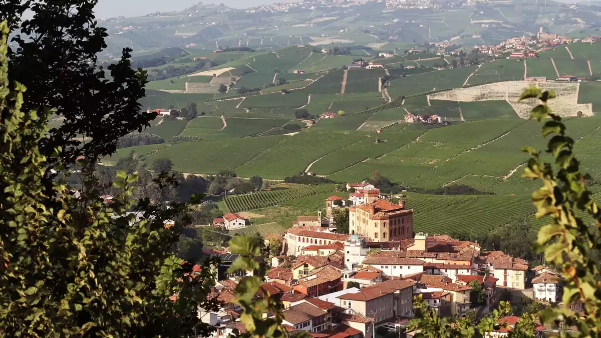 Der Barolo aus der Umgebung der gleichnamigen Gemeinde gehört zu den berühmtesten Weinen der Welt. (Archivbild) - Bild: Bernhard Krieger/dpa-tmn