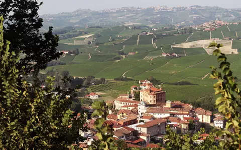 Der Barolo aus der Umgebung der gleichnamigen Gemeinde gehört zu den berühmtesten Weinen der Welt. (Archivbild) - Foto: Bernhard Krieger/dpa-tmn