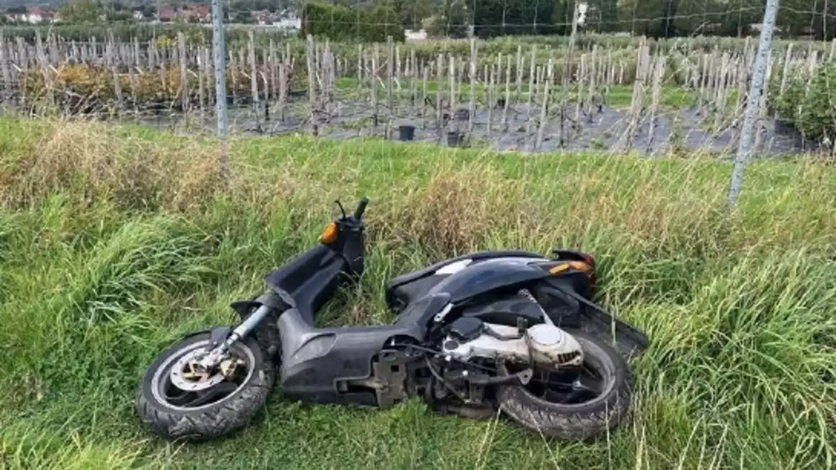POL-LIP: Detmold. Polizei sucht Eigentümer eines aufgefundenen Rollers. - Bild: presseportal.de